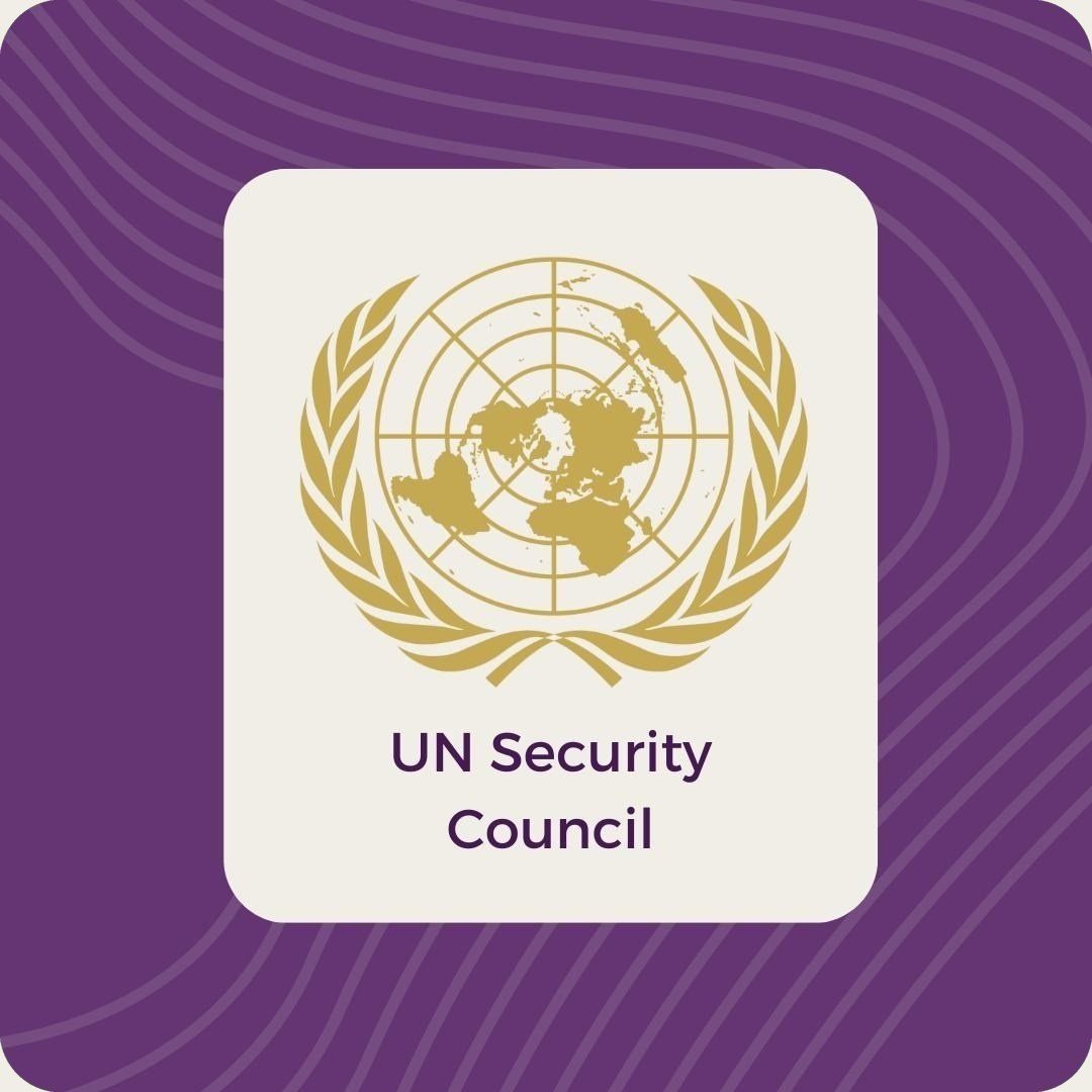 UN Security Council